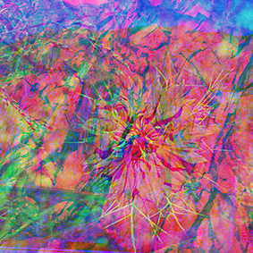 Photographers-Feeling-No1 40x40 cm $690